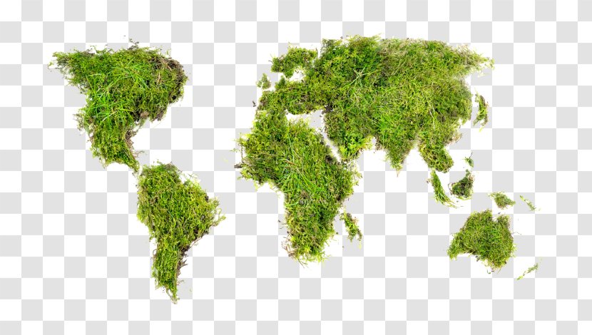 World Map Globe - Grass Transparent PNG