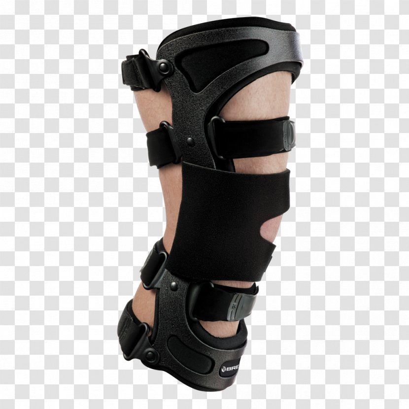 Knee Effusion Osteoarthritis Breg, Inc. Arthritis - Joint Transparent PNG