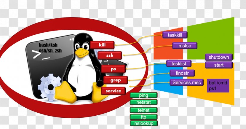 Penguin Product Design Brand Linux - Kernel Transparent PNG