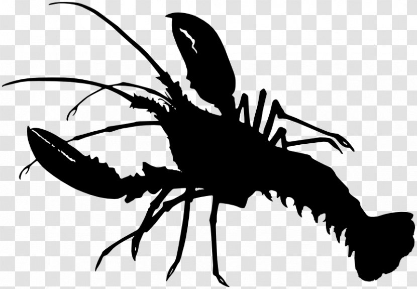 Crayfish As Food Lobster Crab Silhouette - Fly Transparent PNG