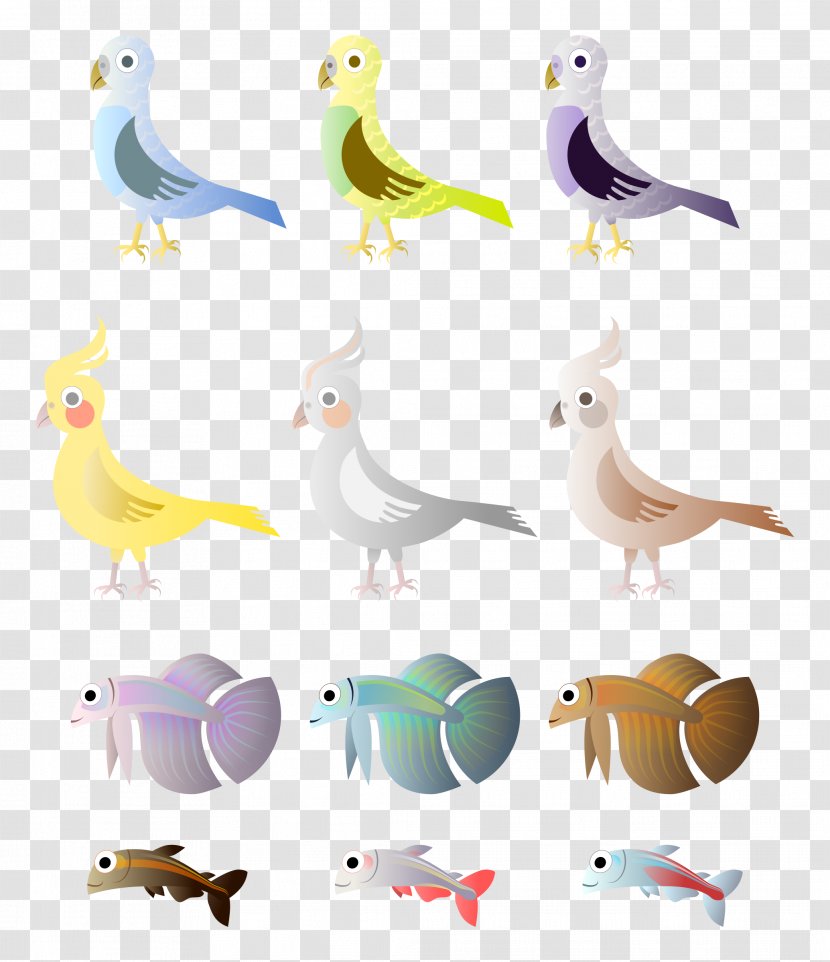 Bird Budgerigar Cockatoo Fish Clip Art - Parrot - Betta Transparent PNG