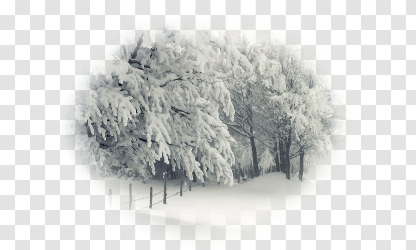 Winter Storm Desktop Wallpaper 4K Resolution Snow - Geological Phenomenon Transparent PNG