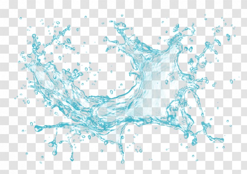 Water Services Drop - Tree - Effect Transparent PNG