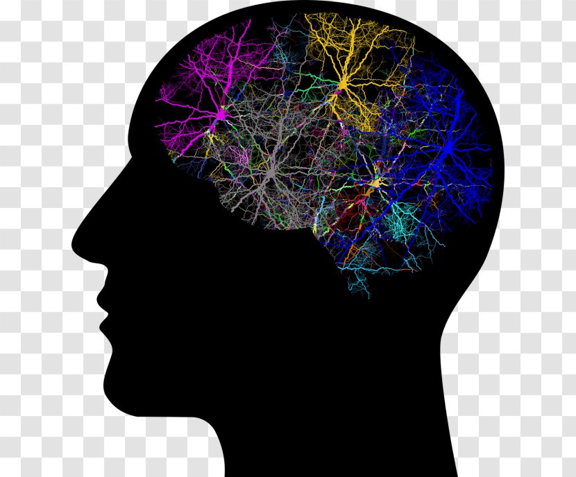 Human Brain Head Neuron - Silhouette - PSICHOLOGY Transparent PNG