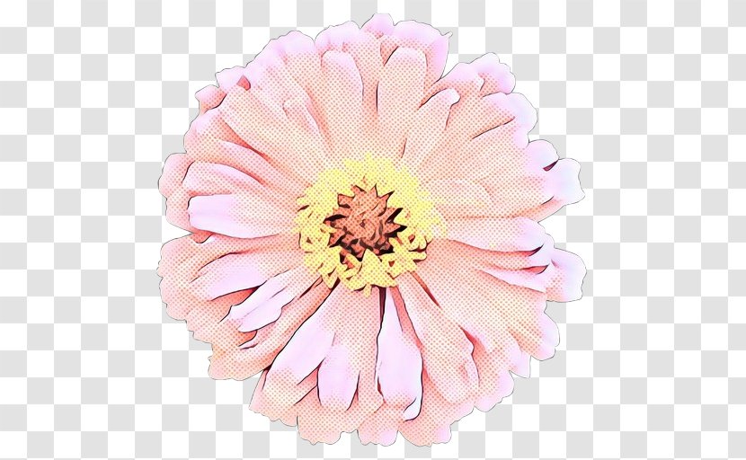 Transvaal Daisy Cut Flowers Floristry Chrysanthemum - Zinnia Transparent PNG