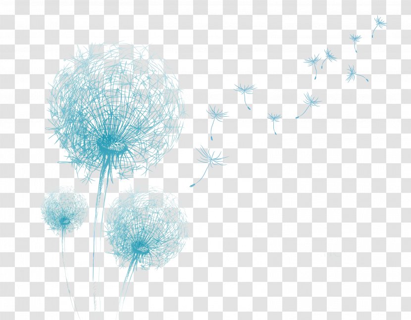 Dandelion Drawing Flower Transparent PNG