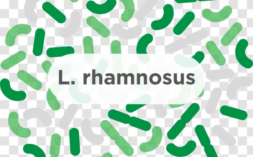 Lactobacillus Reuteri Rhamnosus Acidophilus Gasseri Probiotic - Gastrointestinal Tract - Diarrhea Transparent PNG