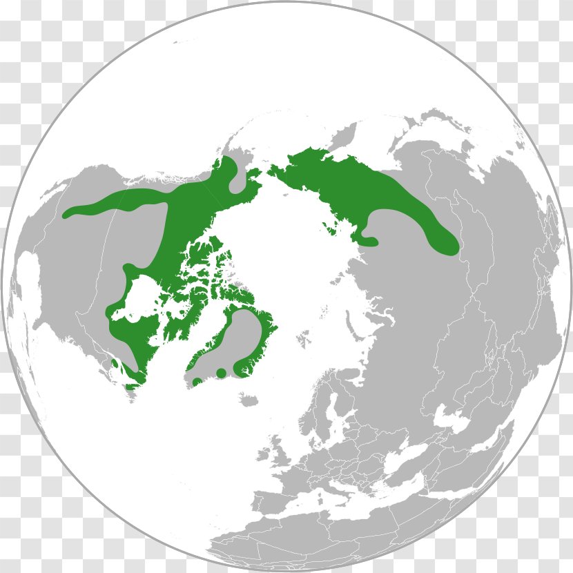 Reykjavik Geography Of Iceland Map Projection Orthographic - Green Transparent PNG