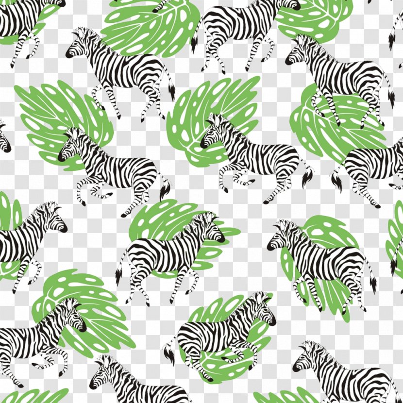 Zebra Wallpaper - Horse Like Mammal - Fauna Transparent PNG