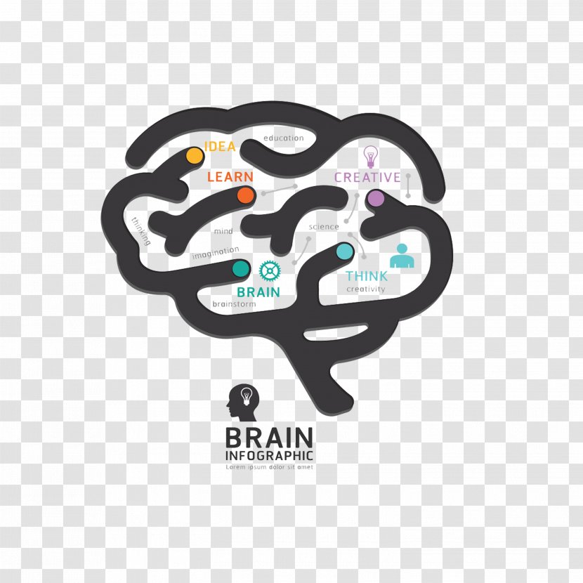 Human Brain Graphic Design Diagram - Photography Transparent PNG