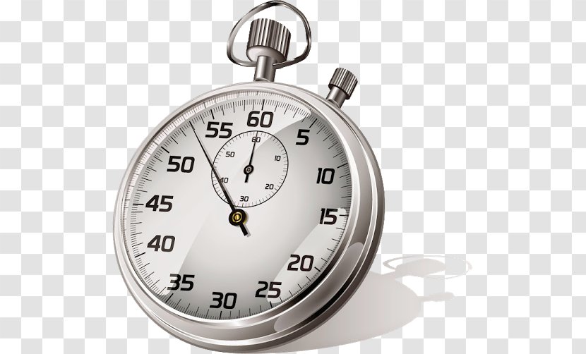 Stopwatch Pocket Watch Clock - Tree Transparent PNG
