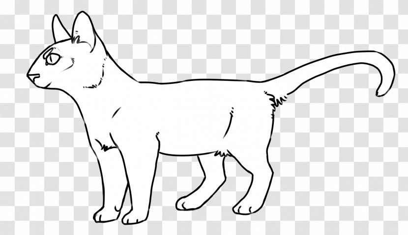 Whiskers Cat Line Art Red Fox Cheetah - Like Mammal Transparent PNG