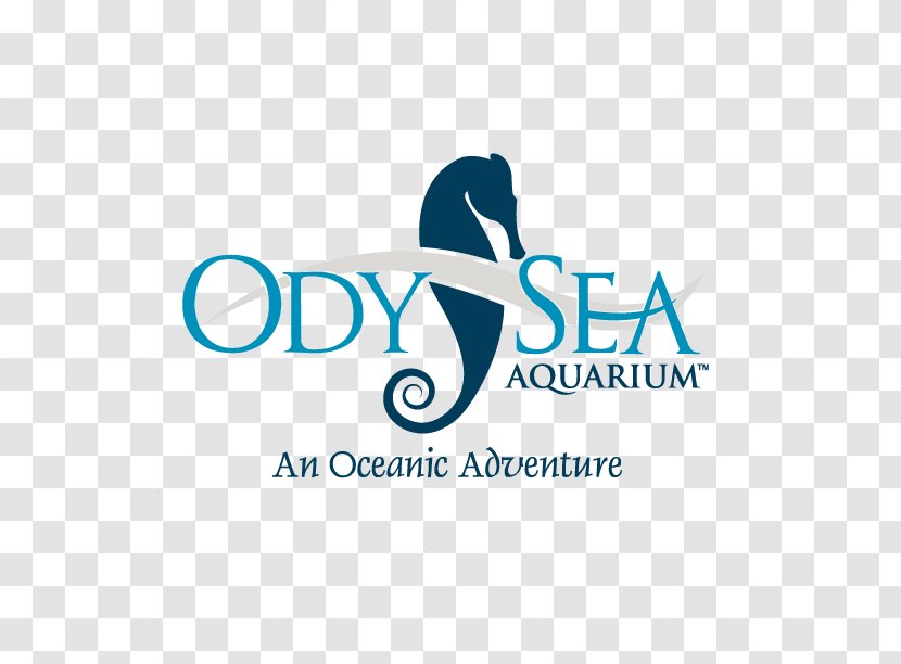 NightLife At OdySea Aquarium Scottsdale Shark Dolphinaris Arizona - United States Transparent PNG