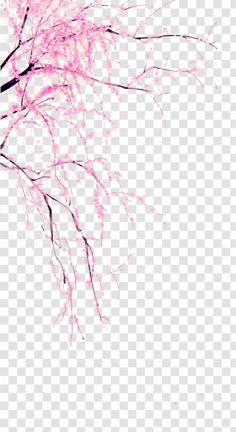 Download Clip Art - Pink - Peach Branches Down The Decorative Pattern Transparent PNG
