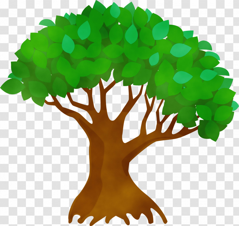 Green Leaf Tree Plant Grass Transparent PNG