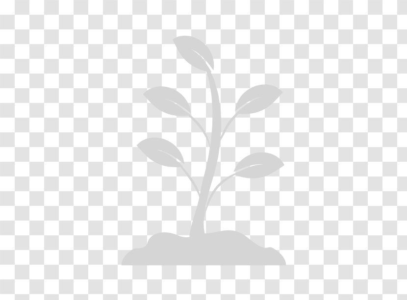 Branch Leaf Plant Stem Root - Gardening Service Transparent PNG