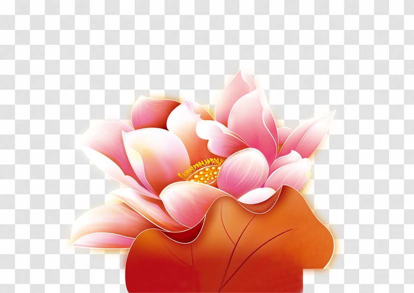 Nelumbo Nucifera Pygmy Water-lily Clip Art - Peach - Lotus Transparent PNG
