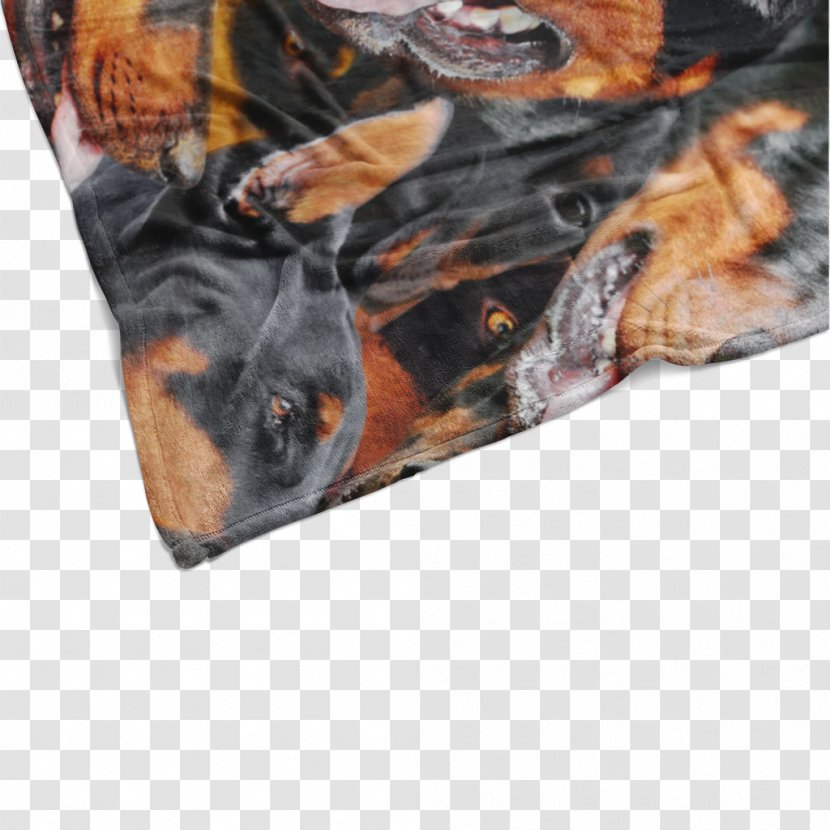 Dog Product Orange S.A. - Like Mammal Transparent PNG