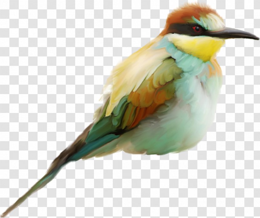 Bird Clip Art - Se - Birds Transparent PNG