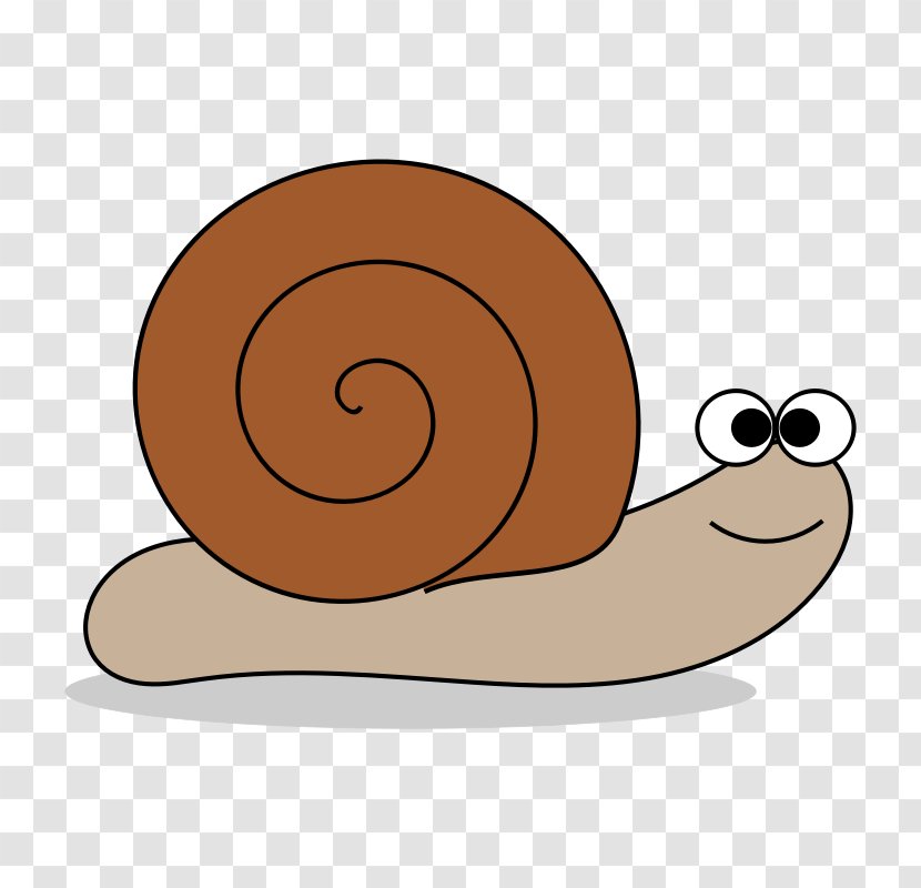 Snail Free Content Clip Art - Invertebrate - Cartoon Transparent PNG