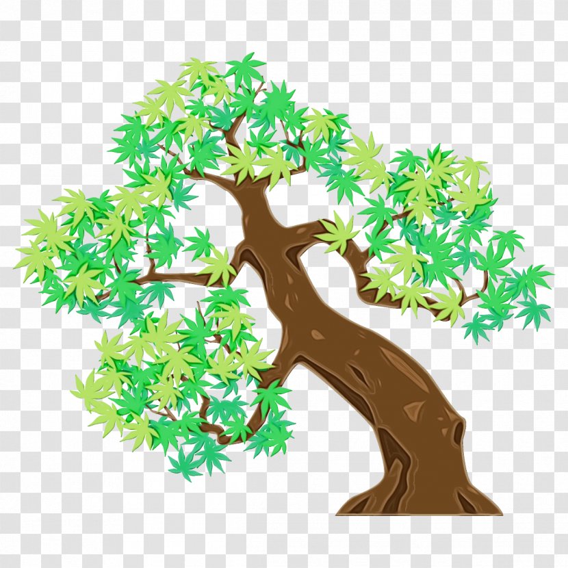 Tree Green Branch Plant Woody - Paint - Trunk Houseplant Transparent PNG