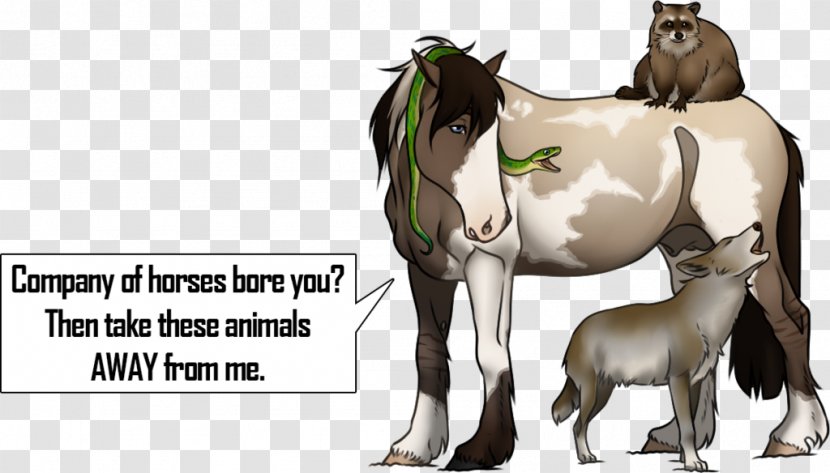 Foal Mustang Mare Stallion Donkey - Organism Transparent PNG