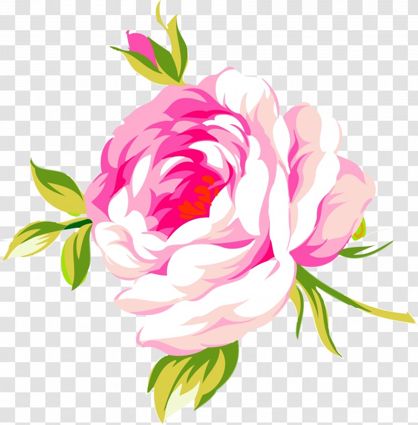 Perfume Beach Rose Flower Garden Roses Transparent PNG