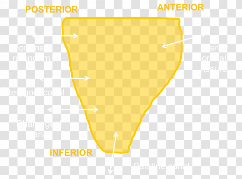 Line Angle Graphics Product Design Font - Yellow - Area Transparent PNG