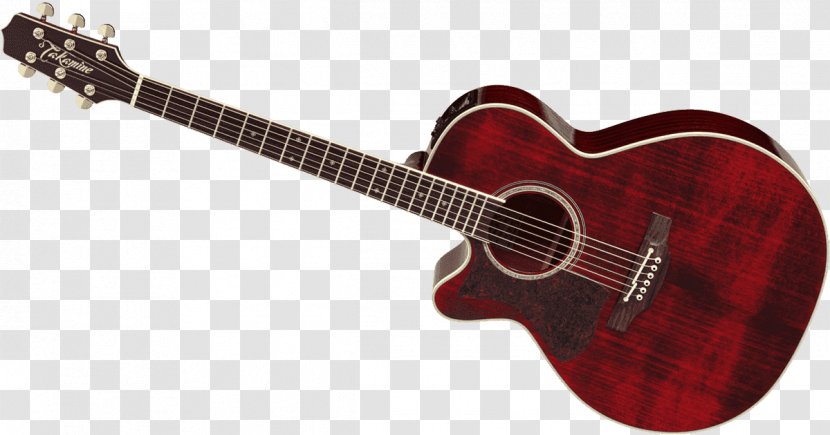 Acoustic Guitar Acoustic-electric Tiple Takamine Guitars - Tree Transparent PNG