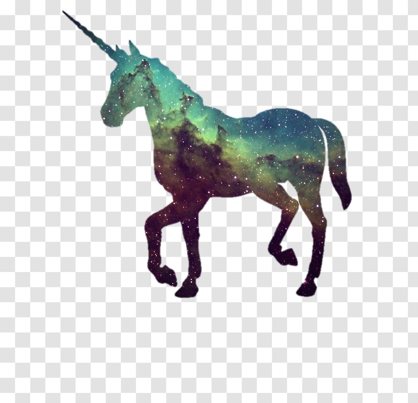 Unicorn Party The Hunt Of Image T-shirt - Wallpaper Iphone Transparent PNG