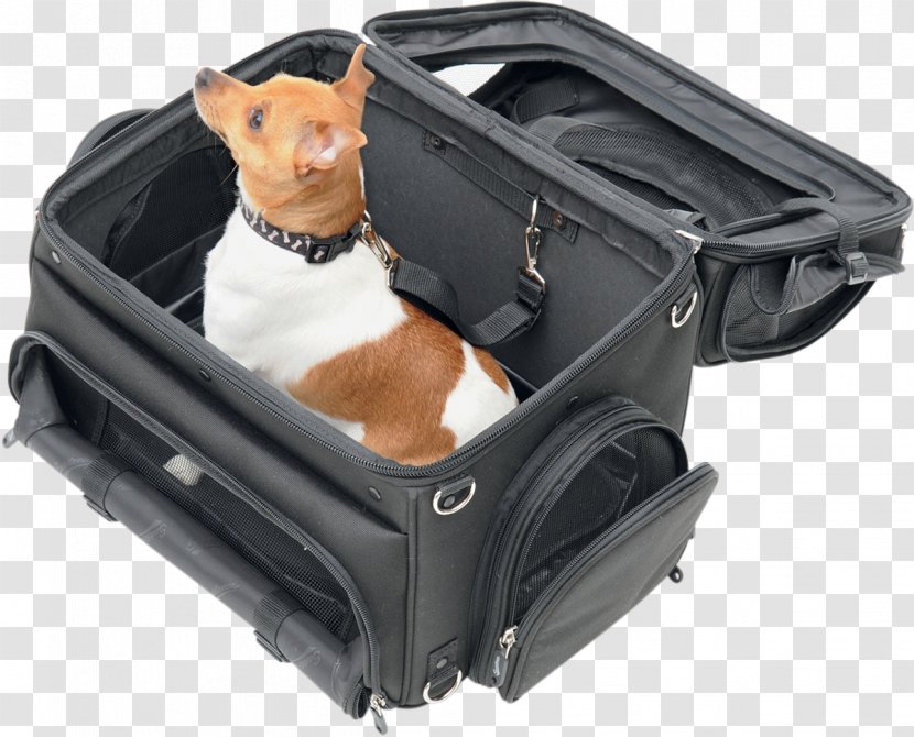 Dog Pet Carrier Kitten Puppy Scooter - Transport Transparent PNG