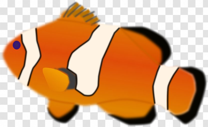 Orange Clownfish Clip Art - Color - Vis Transparent PNG