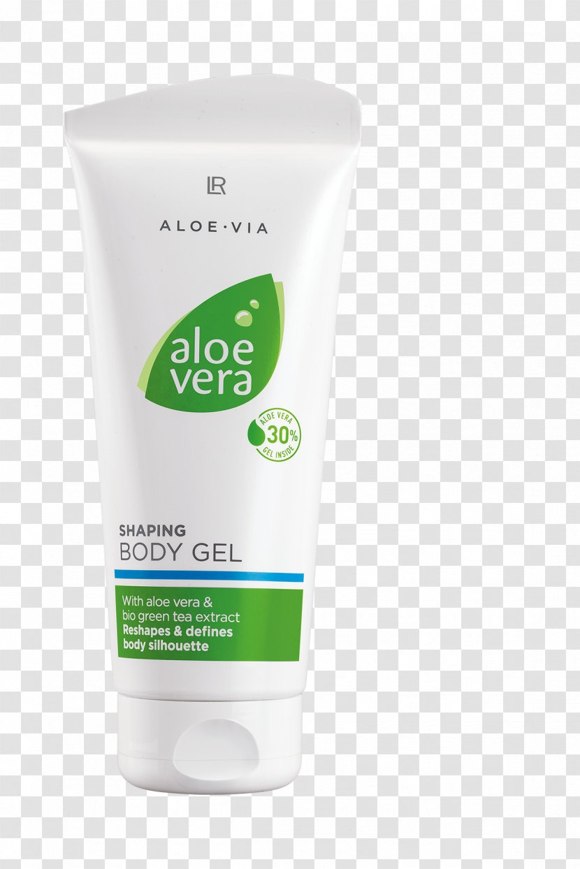 Cream Lotion Aloe Vera Gel Human Body - Capillary - Aloevera Transparent PNG