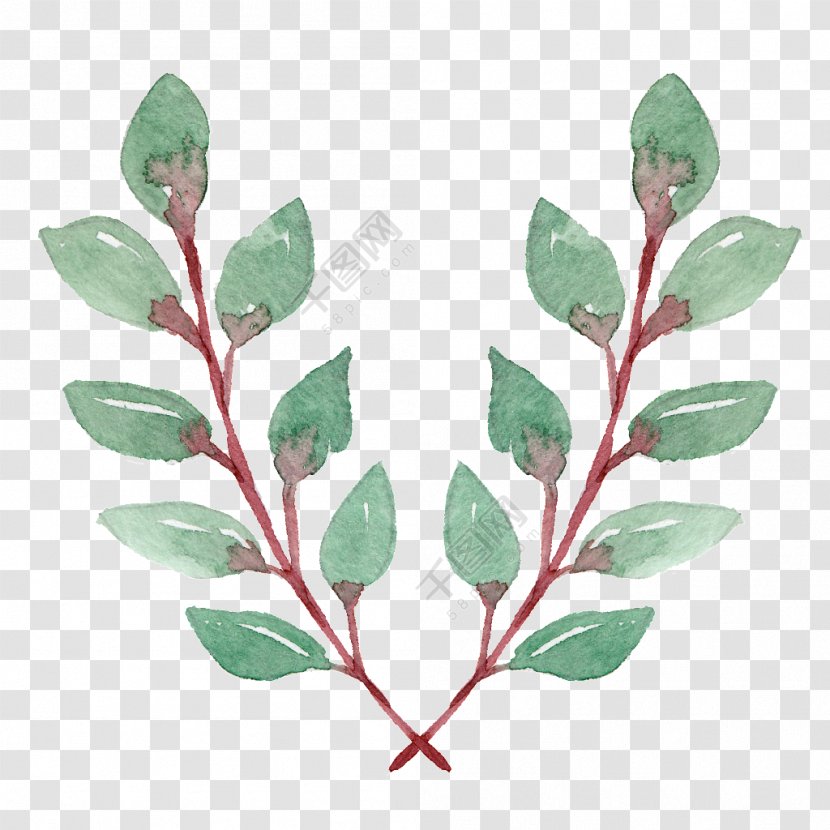 Leaf Design Image Drawing - Floral - Adjustor Watercolor Transparent PNG