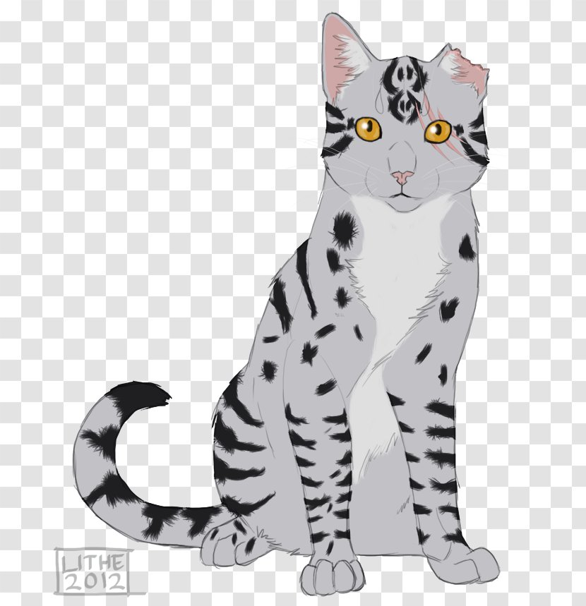 Whiskers American Wirehair Kitten Domestic Short-haired Cat Tabby - Animal Figure Transparent PNG