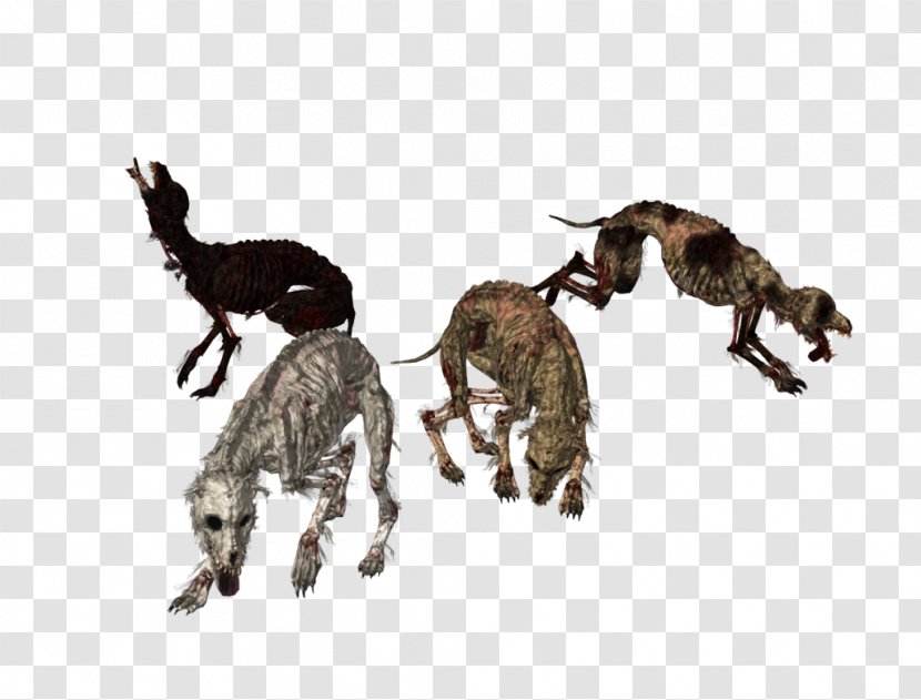 Dark Souls Dog Wolves For Kids MikuMikuDance - Hyena Transparent PNG