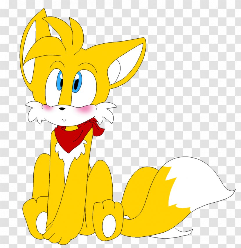 Nine-tailed Fox Whiskers Knuckles The Echidna Cat Transparent PNG