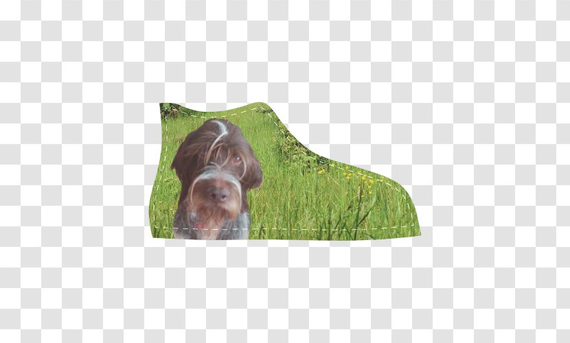 Dog Breed Sporting Group Snout - Kid-pointing Transparent PNG