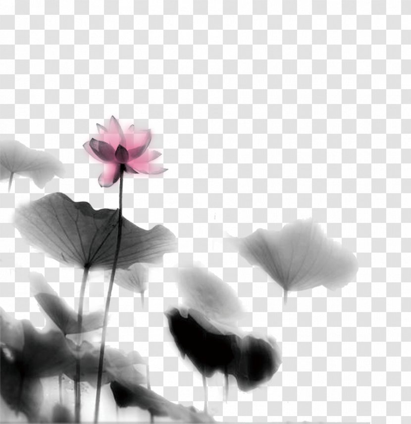 Kaifeng Northern Song Dynasty Ci Writer - Plant Stem - Chinese Painting Lotus Transparent PNG