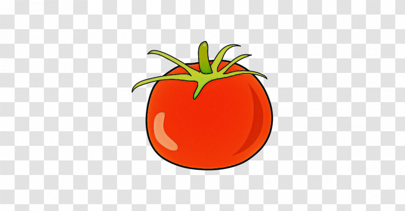 Orange Transparent PNG