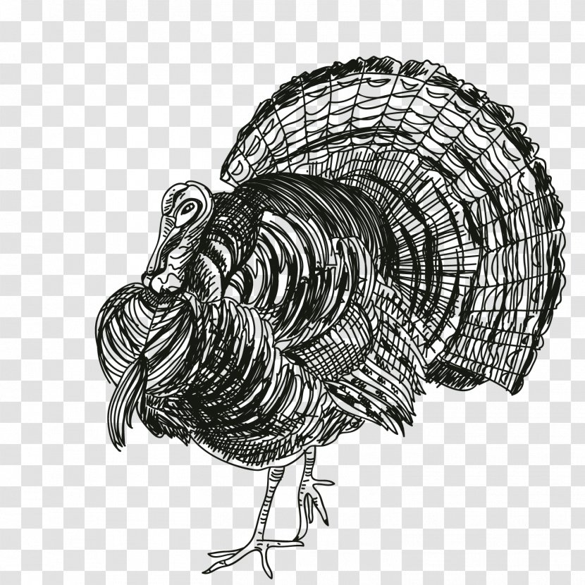 Turkey Thanksgiving Black And White Rooster - Food Transparent PNG