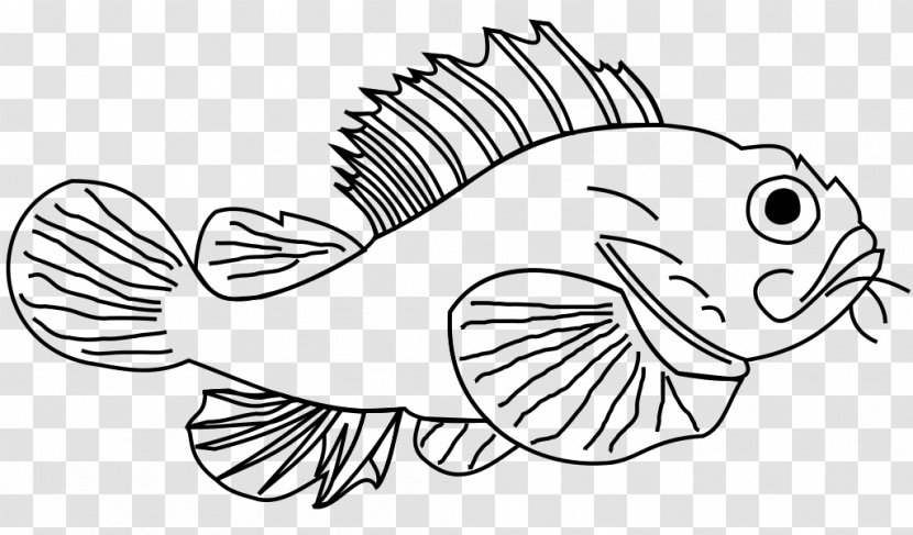 Drawing Line Art Cartoon Fauna Clip - Seafood - Lionfish Transparent PNG