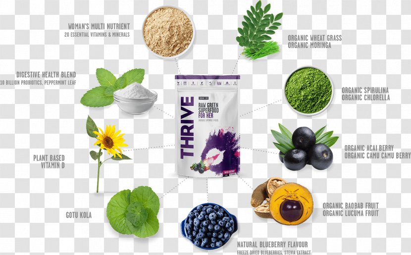 Nutrient Superfood Dietary Supplement Raw Foodism Organic Food - Tree - Health Transparent PNG