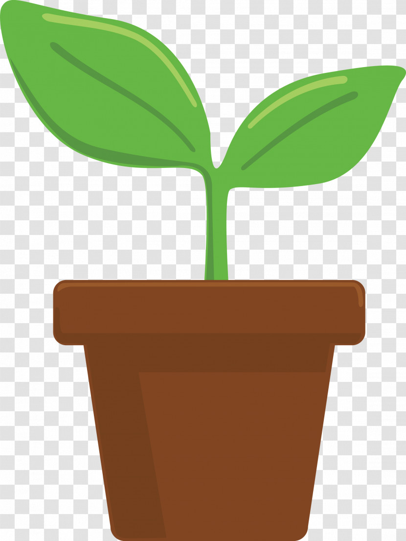 Sprout Bud Seed Transparent PNG