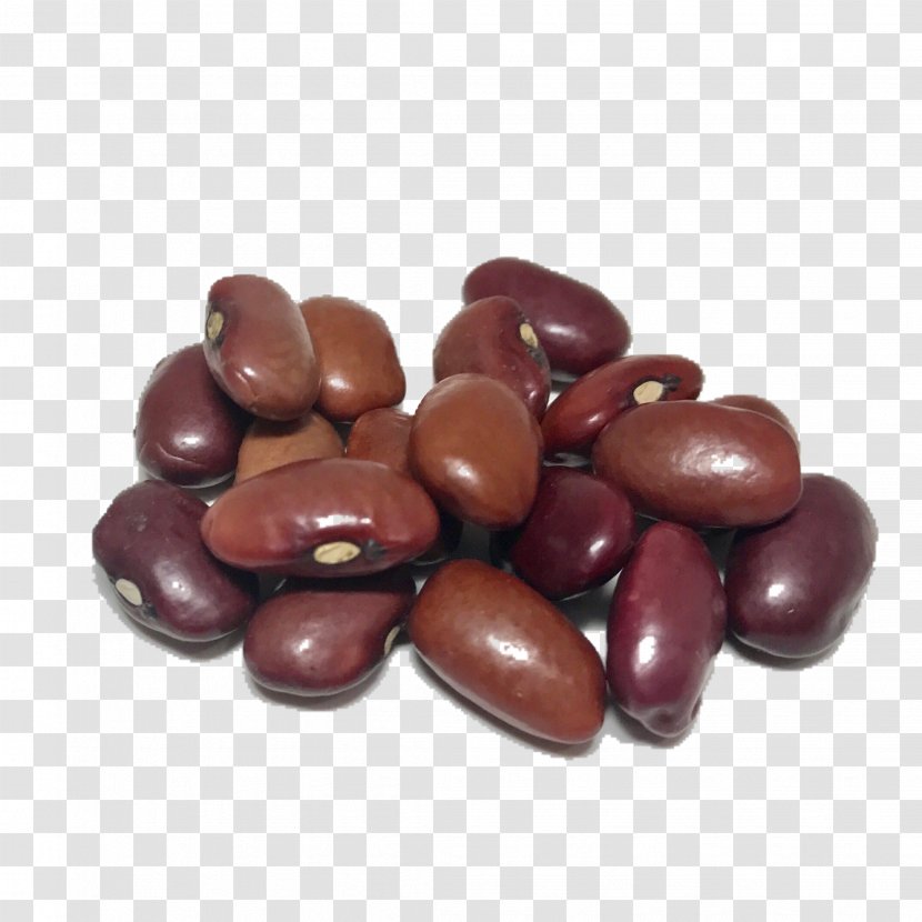 Heirloom Beans Shady Side Farm Inc Plant Cocoa Bean - Adzuki - Soybean Transparent PNG