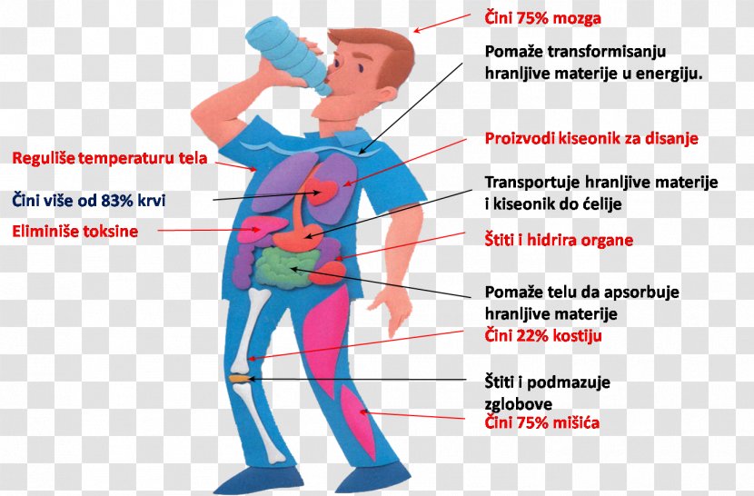 Health Water Life Drinking - Frame Transparent PNG