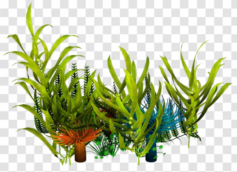 Underwater Aquatic Plants Seaweed Clip Art - Plant Stem - Reef Transparent PNG