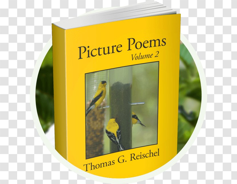 Poetry Brand Book Font - Yellow Transparent PNG