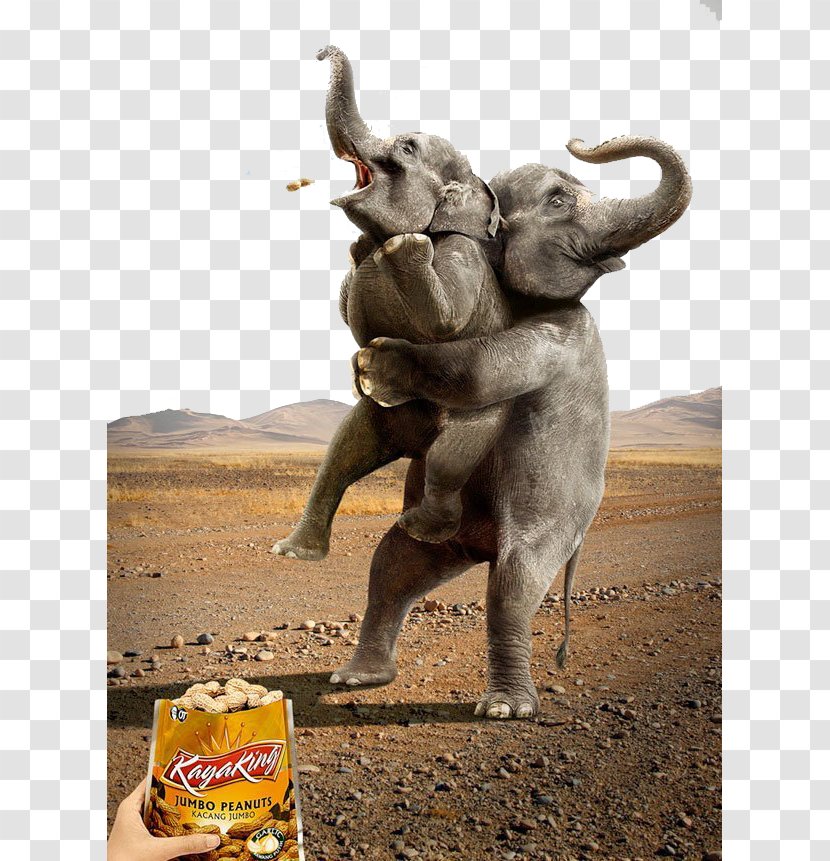 Advertising Animal Advertisements Humour Printing Marketing - Elephants Hold Small Elephant Transparent PNG