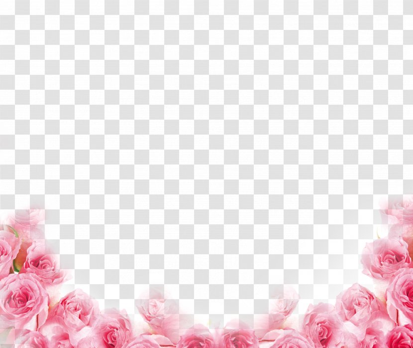 Pink Beach Rose Petal Flower - Flowers - Border Transparent PNG